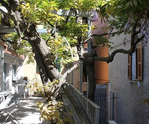 Wisteria Court - 2 - 펜션 *